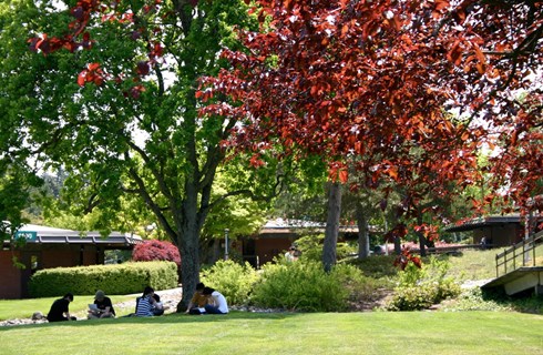 Shoreline College